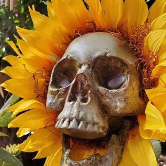 Decoración del jardín del cráneo de girasol Skeleton Sputsing Estaca  Halloween Decoración | Linio Colombia - GE063HL1NI9S9LCO
