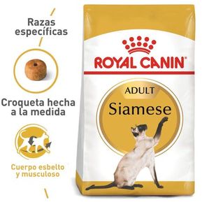 Royal Canin Siamese Adulto 2 Kg