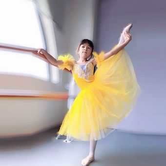 #light purple tutu vestido de bailarina azul Rosa suave para niña tutú de Ballet romántico tutú profesional de tul largo baile para niña DJL Tutú de Ballet amarillo para niña 