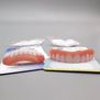 Simulación de silicona Dientes de dientes Tapa de dientes de blanqueamiento superior e inferior Instante