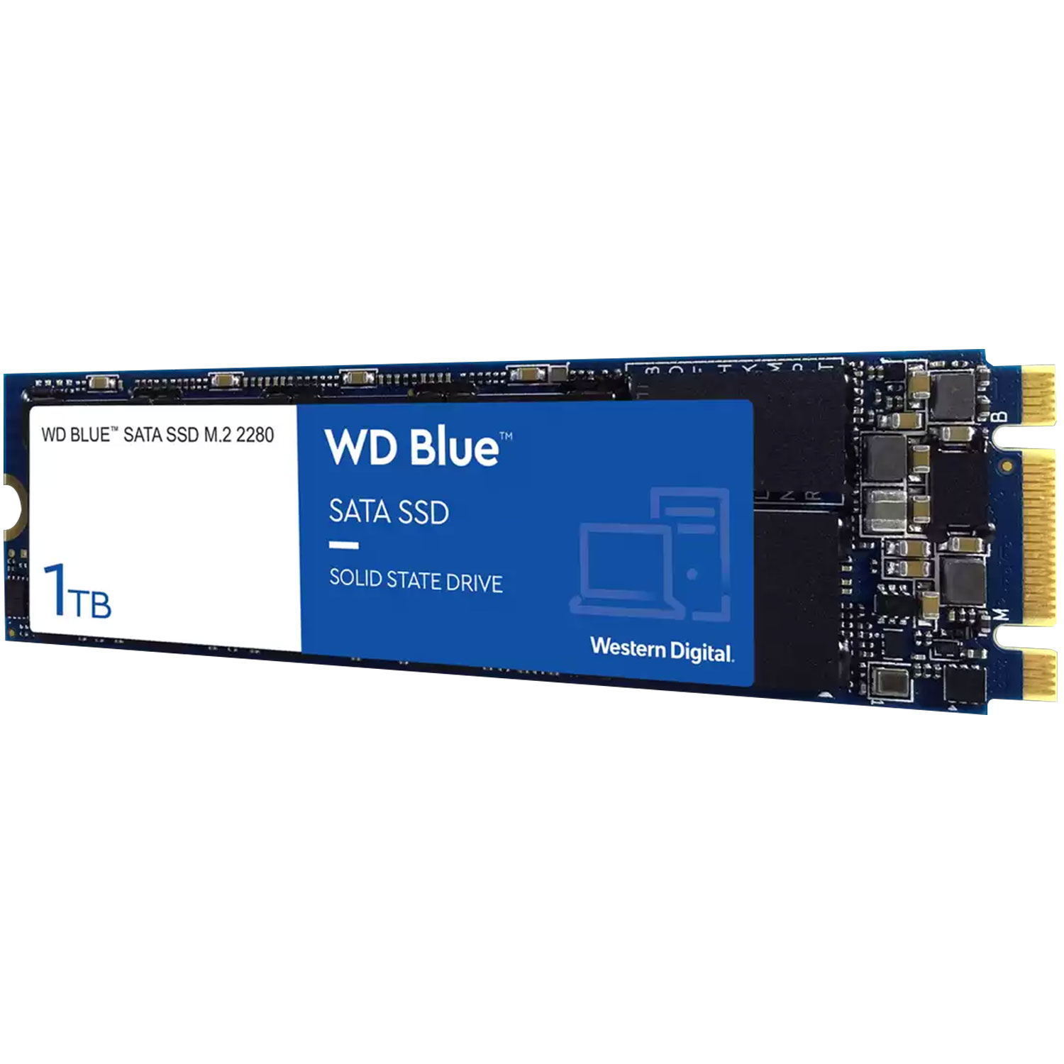 SSD M.2 1TB WESTERN DIGITAL Laptop PC SATA WDS100T2B0B