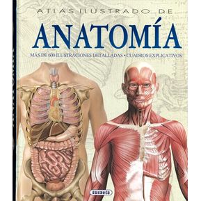Atlas Ilustrado De Anatomía