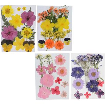 4 Bolsas Hermosas Flores Secas Prensadas Naturales Hojas Prensadas | Linio Colombia - GE063EL007MSVLCO 4 Bolsas Hermosas Flores Secas Prensadas Naturales Hojas Prensadas | Linio Colombia - GE063EL007MSVLCO
