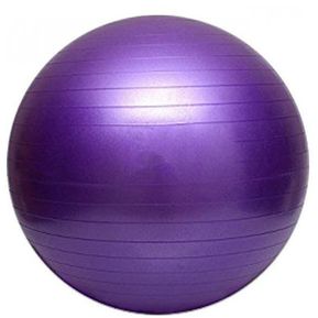 Balón de Pilates 65 cm Sportfitness Pelota de Yoga Gimnasio - Equipos de  Gimnasia
