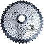 Pacha Ontrail 10 Velocidades 11-40 Cassette Bicicleta Mtb
