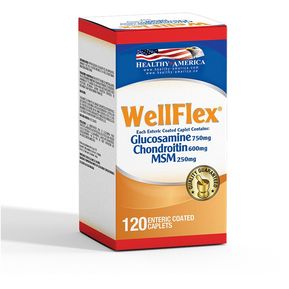 Wellflex Glucosamine Chondroitin X 120Cap - Healthy America