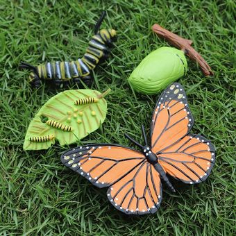 Insectos de plástico Figuras de crecimiento de mariposas y gallinas 