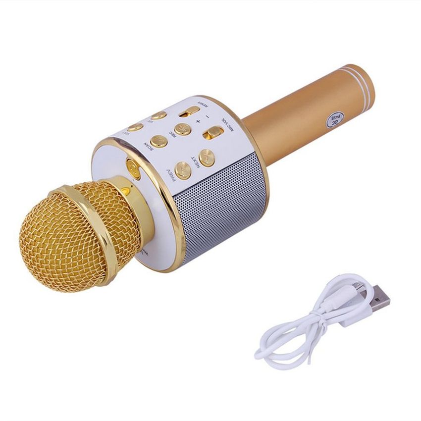 WS858 Micrófono inalámbrico Inicio KTV Música Playing Karaoke Práctico Micrófono