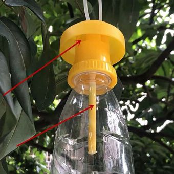 Trampa para moscas de la fruta trampa de plástico amarilla para Dro 