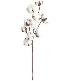 Flor de simulación 10 Ramas de algodón natural Fabricantes falso Flores 