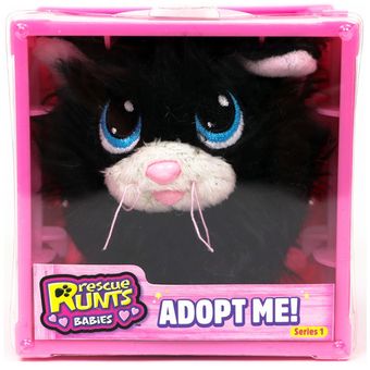 Rescue runts gato hot sale