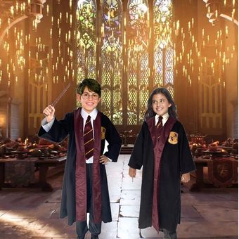 Disfraz Harry Potter Gryffindor - Disfraces para Niñas y Niños
