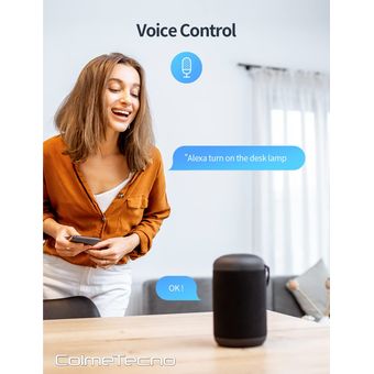 Enchufe Inteligente Wifi Control De Voz Alexa Google Asisten GENERICO