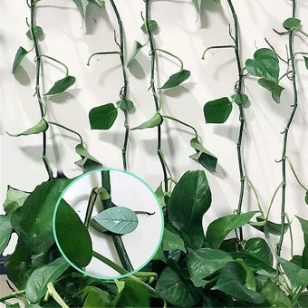 accesorio Invis Clip de retención de pared para escalada de plantas 