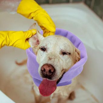2x Redecillas Para Perros Para Reducir El Ruido Aseo Baño Secado 
