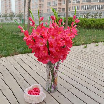 Gladiolo Artificial Spray Tallo Falsa Seda Flores Tropicales Rosa roja 
