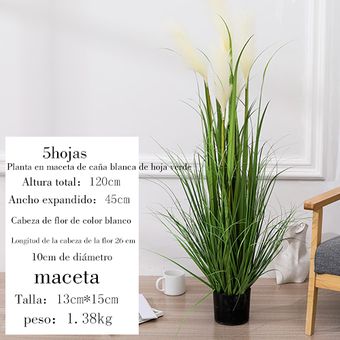 Plantas Artificiales césped Artificial junco near Natural hierba bonsai  decoración del hogar | Linio México - GE598HL01ODXHLMX