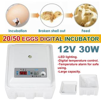 20 Los huevos automática Volviendo Incubadora Digital LED iluminación de alarma de temperatura Mini Incubatores Eclosión Turquía ganso codorniz huevos de gallina-White 20 Eggs 