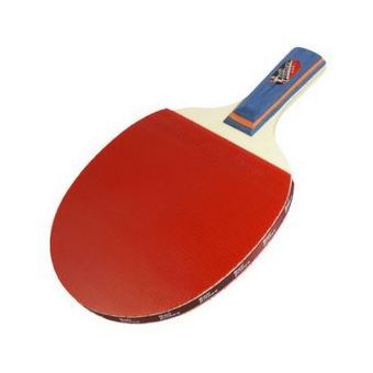 Juego de raquetas y pelotas de tenis de mesa ping pong 