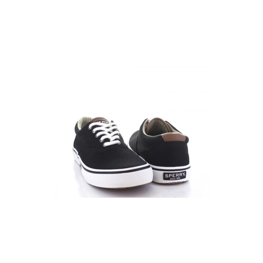 sperry color negro