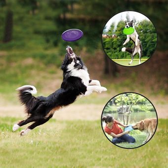 Frisbees para perros, Disco para perros, Frisbee de juguete para perros,  Frisbee de goma, para tierr Xemadio 2035151-1