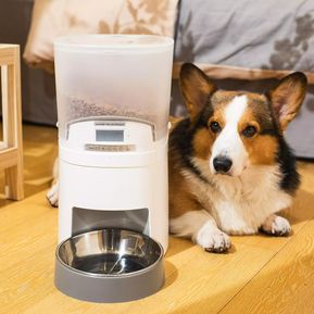 Comedero Automático Alimentador Inteligente Perro Y Gato 7L