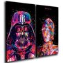 Cuadro Díptico 60x50 Cms Decorativo Darth Vader - C3PO