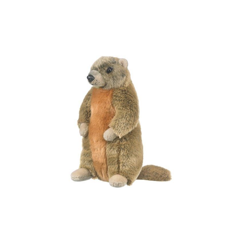 peluche marmota