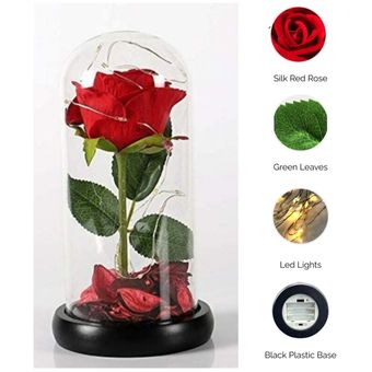 Cupula con Rosa Eterna con Luz LED regalo San Valentin | Linio Perú -  GE582HL0ECIYFLPE