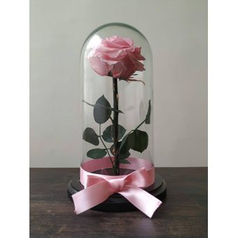 Rosa Encantada - flor preservada inmortal en vidrio regalos únicos - Rosa  Rosada | Linio Colombia - GE063HL1MLPEXLCO