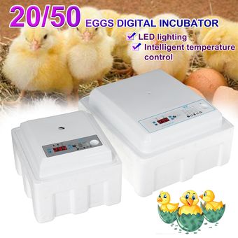 20 Los huevos automática Volviendo Incubadora Digital LED iluminación de alarma de temperatura Mini Incubatores Eclosión Turquía ganso codorniz huevos de gallina-White 20 Eggs 