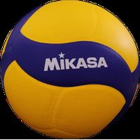 Las mejores ofertas en Mikasa Voleibol