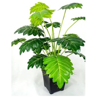 Planta Artificial Decorativa Sintética - Maceta Alto70 Cm Ancho 50 cm |  Linio Colombia - AN188HL063MFHLCO