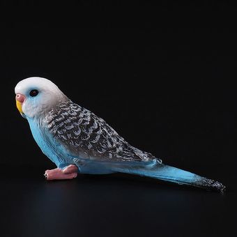 Emulación loro Budgericar pájaro modelo animal juguete plástico artesa 