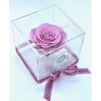 Rosa encantada. Flor preservada en caja acrílica de lujo | Linio Colombia -  ES305HL15DYRWLCO