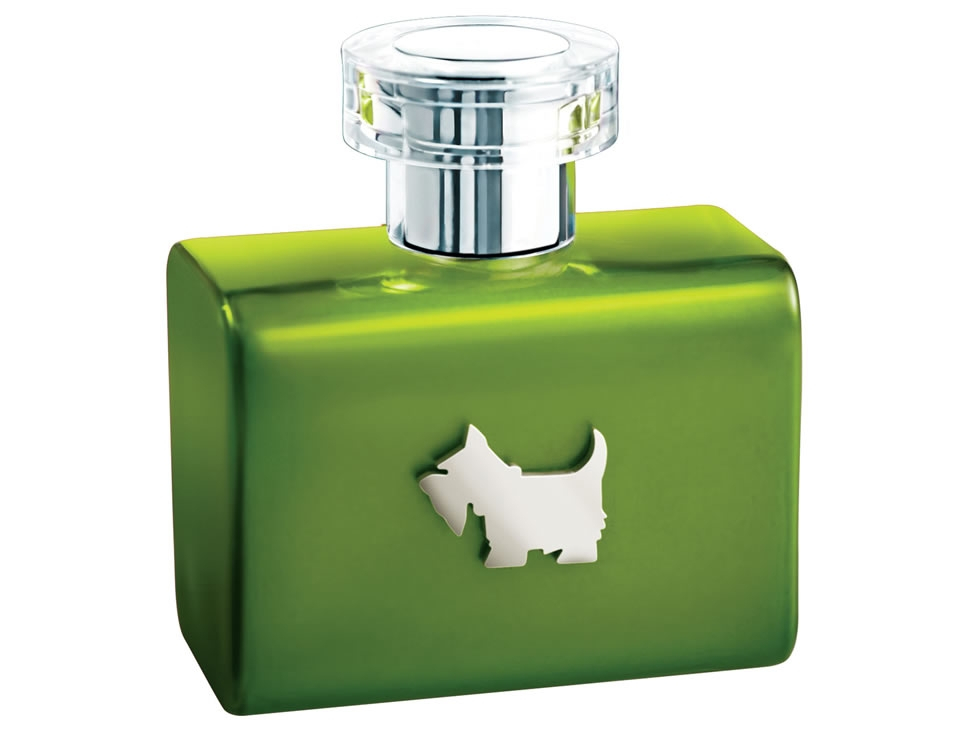 Ferrioni Green Terrier 100 Ml De Ferrioni