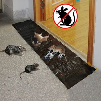 Trampa para ratones roedores ratas de pegante anti plagas