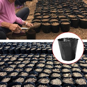 50 piezas maceta de vivero contenedor de propagación de plantas de plá 