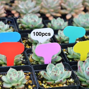 T-tipo 100 piezas de plástico Jardín claves flor de la planta Etiqueta Nursery espesor Tag marcadores de color amarillo 