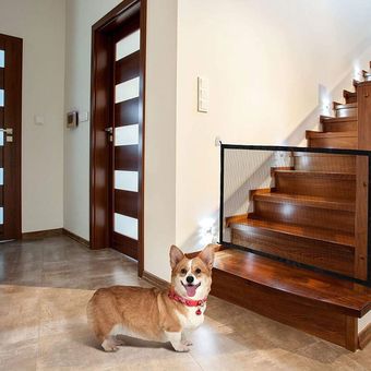 Malydyox - Puertas para perros mejoradas para la casa, puerta para mascotas  para escaleras con valla de seguridad portátil fácil de instalar en