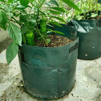 La siembra de la patata bolsas de PE Cultivo Jardín Jardineras plantones de hortalizas Bolsas 