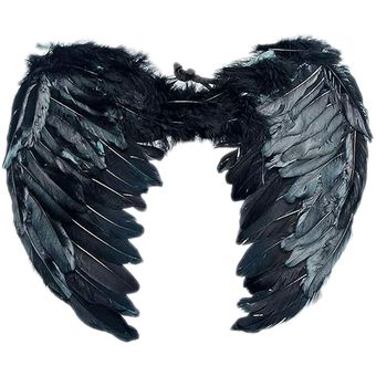 Compra alas y plumas para crear tu disfraz - Tienda de Disfraces