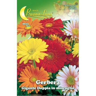 Semillas De Gerbera Gigante Doble Mix - Generico | Knasta Chile