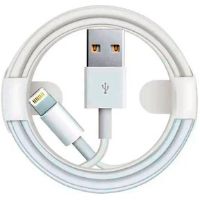 Cable Cargador USB - 30 PIN de 1 metro para iPhone 4, 4S e iPod Blanco -  Cargador para teléfono móvil - Los mejores precios