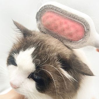 Mascas de mascotas limpiando el peinado peinador de gato cepillos de aseo  para perros epilator | Linio Perú - GE582PE1M3BXDLPE