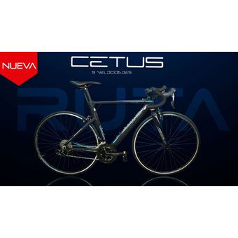 Marco best sale optimus ruta