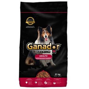 Alimento Para Perro Ganador Premium Razas Medianas Y Grandes...