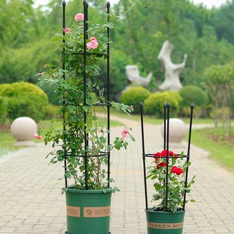 Marco de soporte de plantas duradero enrejados de rosas estante d 