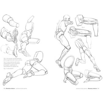 Anatomía artística 2. Cómo dibujar el cuerpo humano de forma