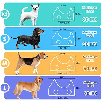 Accesorios Para Perros Set Productos Para Mascotas Alimentos Rayar